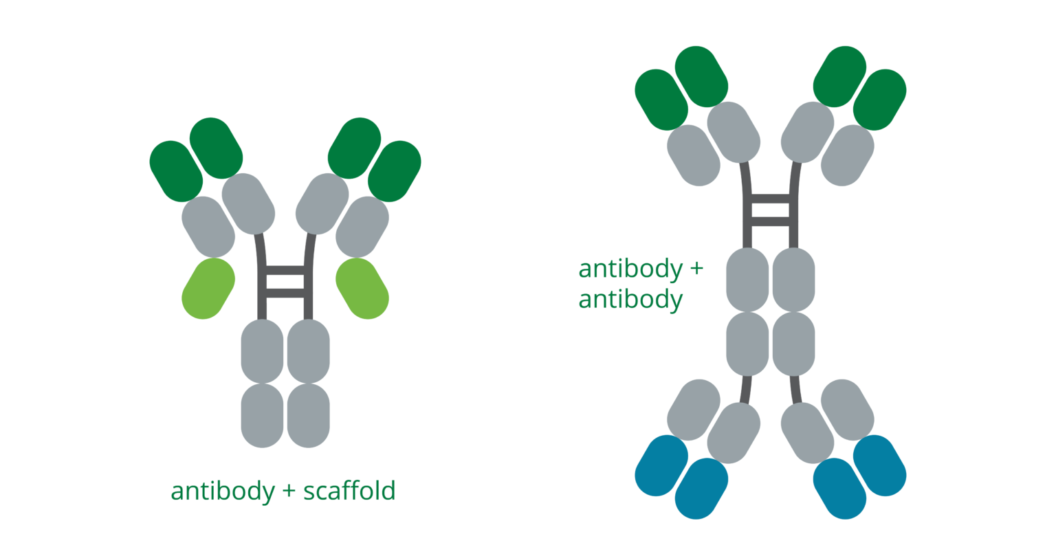 Technology platform – Alligator Bioscience